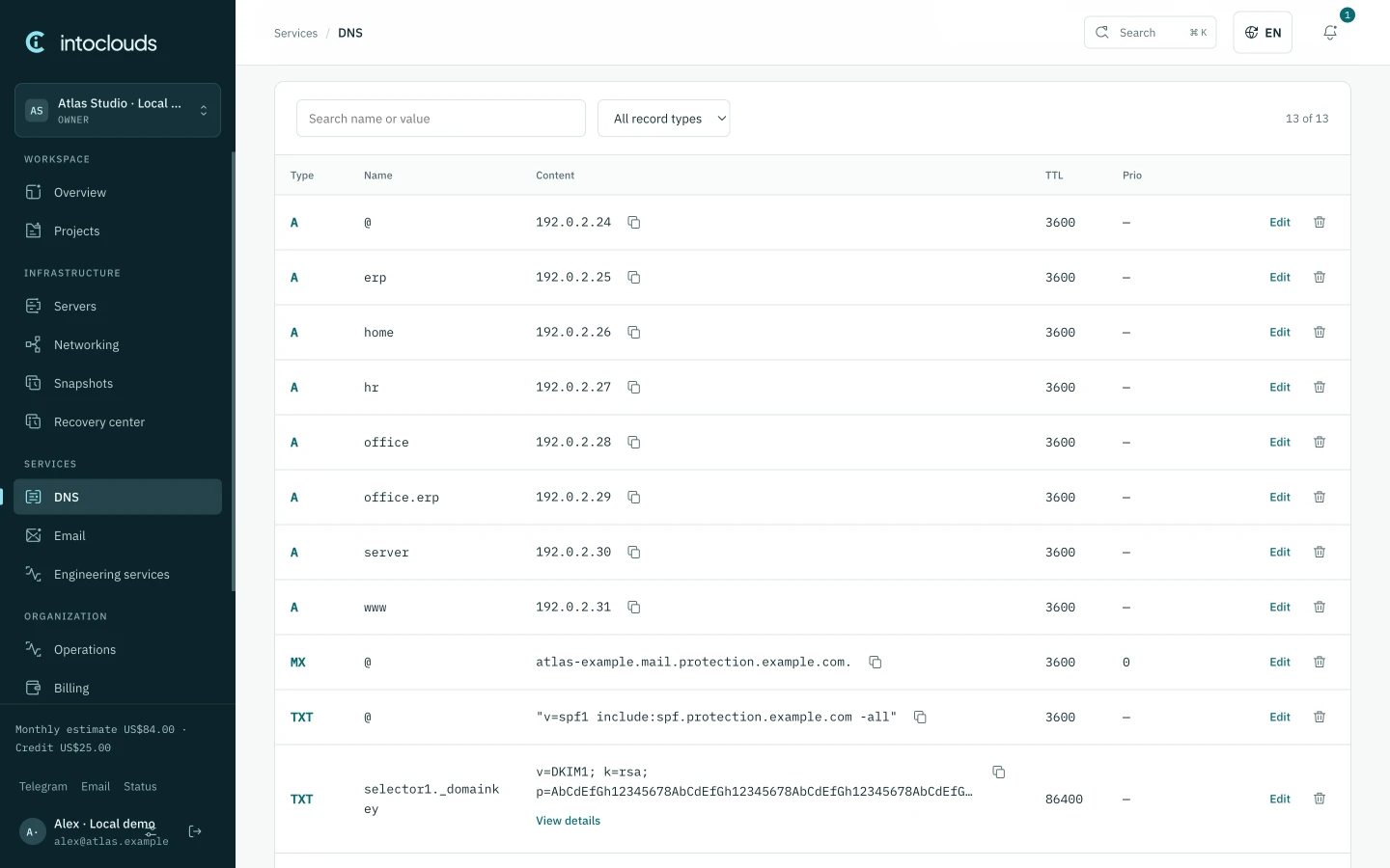 IntoClouds DNS editor with record types, values and TTL.